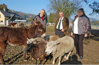 Gut Friedstein - der Gnadenhof mit ganz viel Herz!